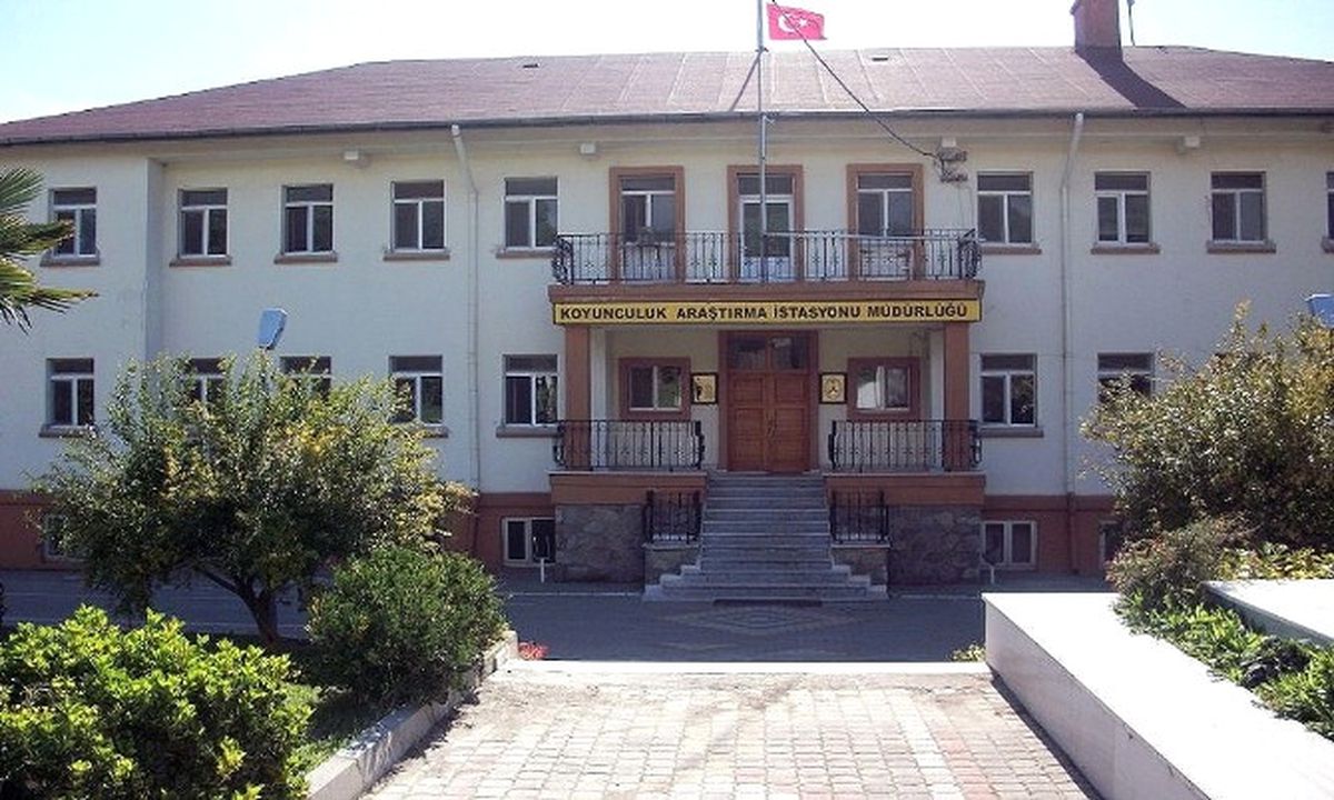 2016 Yılı Kurbanlık Satış Fiyatları Belli Oldu