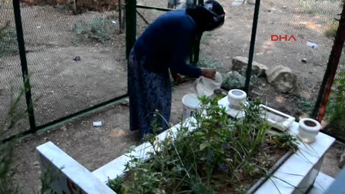 Adıyaman Kaza Kurbanı Oğullarının Şehit Kabul Edilmesini İstiyorlar