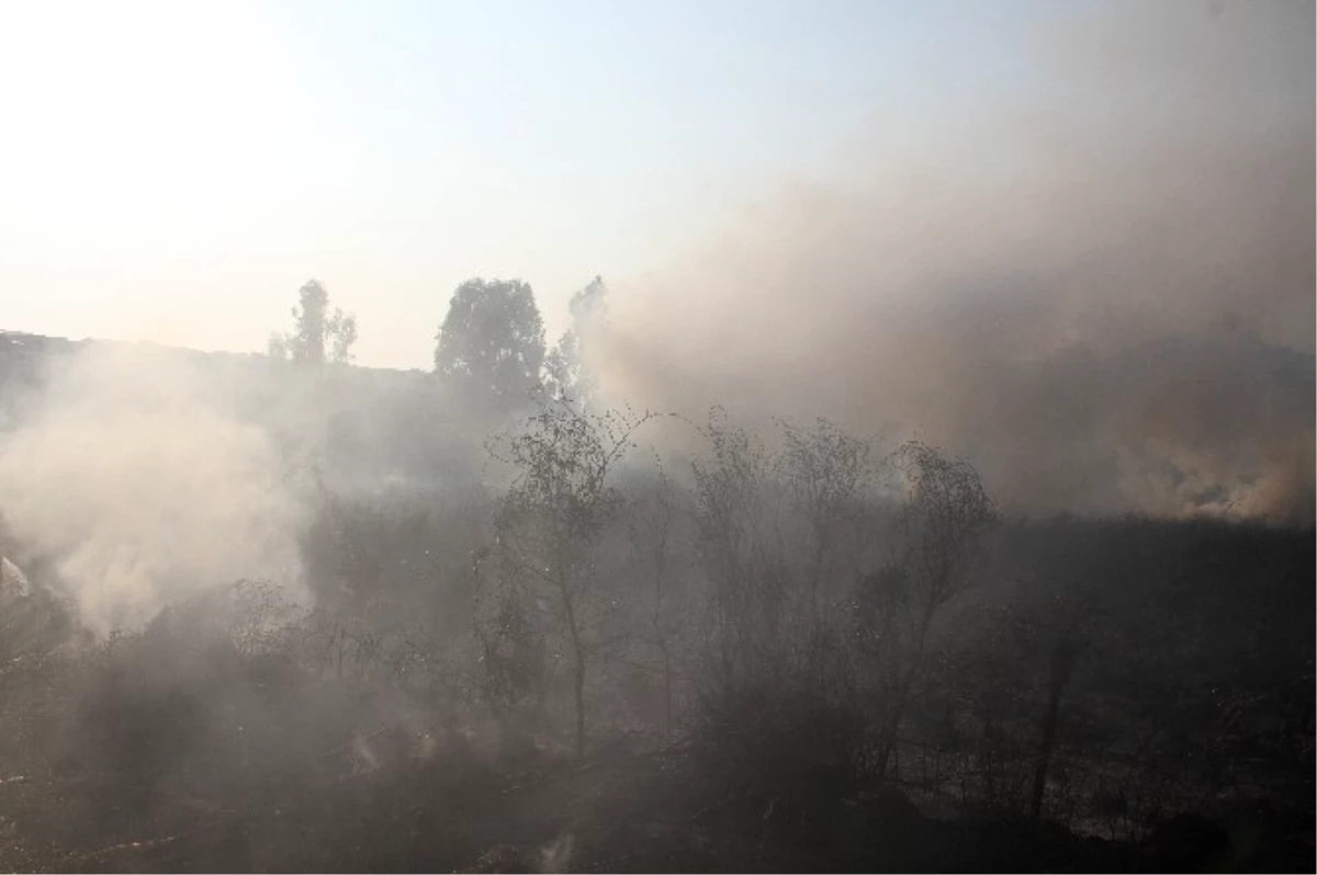 Fethiye\'de Sazlık Yangını Korkuttu