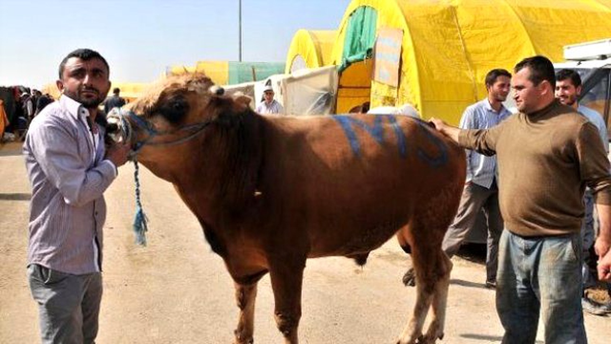 Keçiören\'deki Güvenli Kurban Satış Alanlarına Bu Yıl da İlgi Büyük