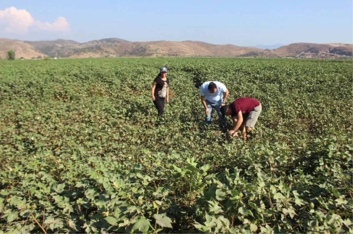 Kırmızı ile Baş Edildi, Şimdi Avrupa\'sı Çıktı