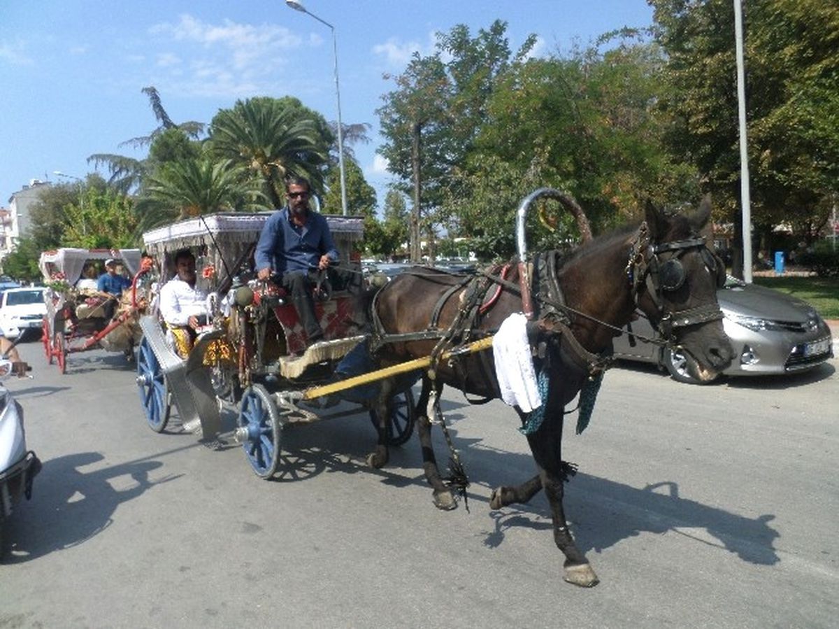 Mudanya\'da Fayton Sefası