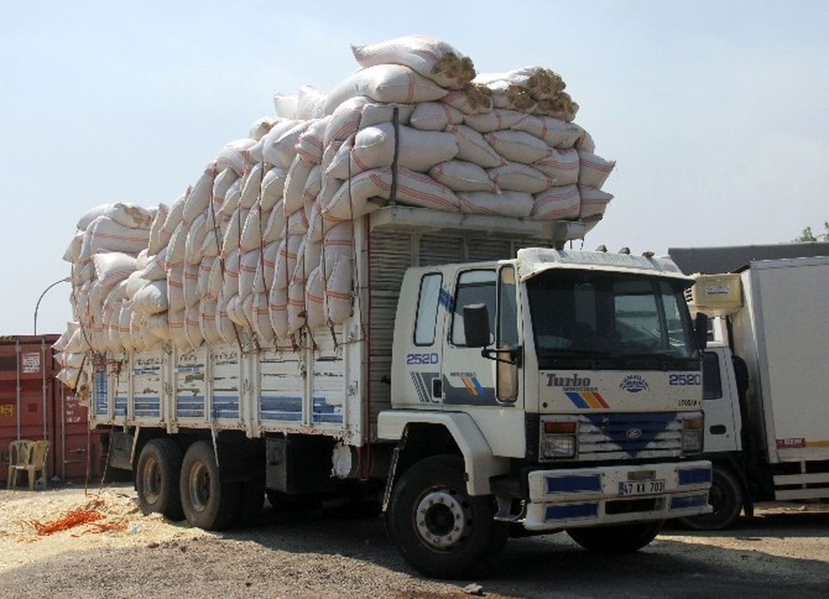 Saman Yüklü Kamyonda 390 Kilo Esrar Ele Geçirildi