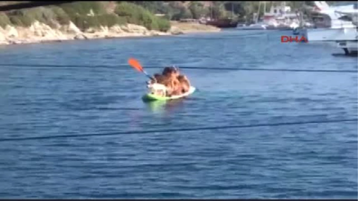 Bodrum Gümüşlük\'ün Maskotu Ruhi Denizden Vazgeçemiyor