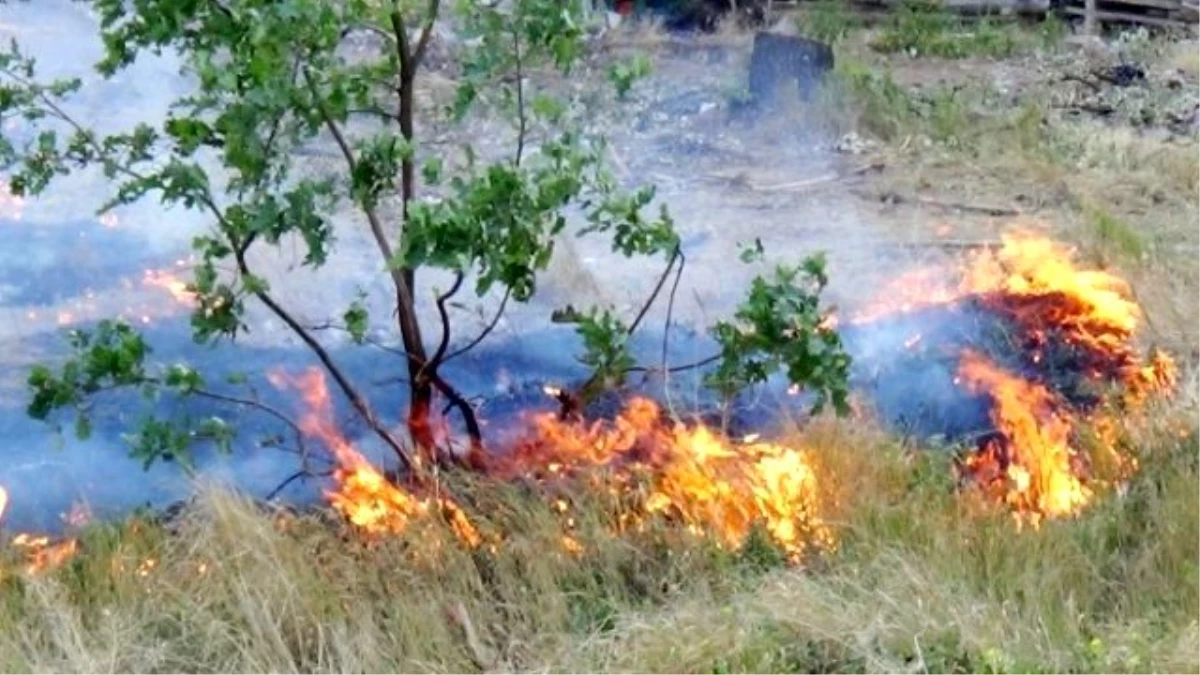 Çatalça\'da Orman Yangını