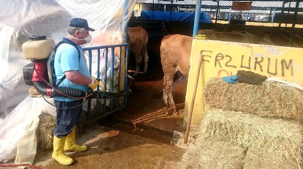 Bursa\'da Hayvan Pazarları İlaçlandı