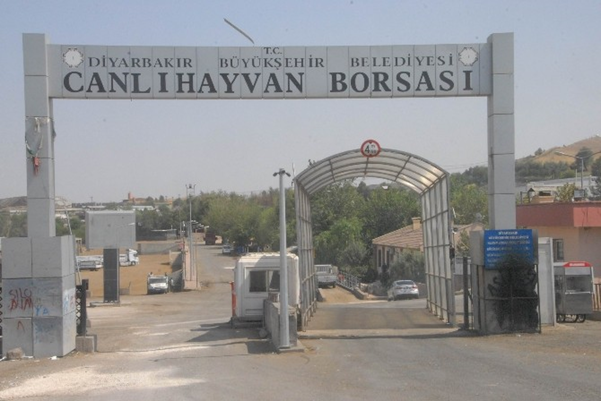 Diyarbakır Hayvan Borsası Kurban Bayramı\'na Hazırlanıyor