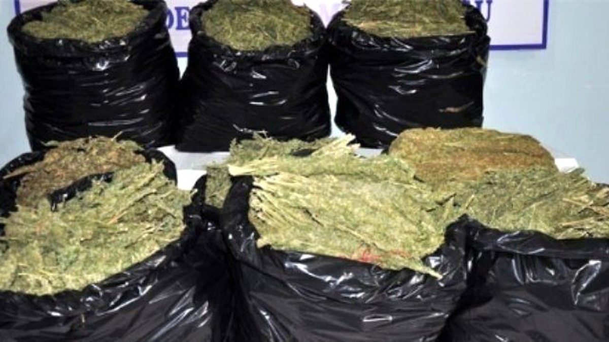 Kola Konteynerinde Uyuşturucu Bulundu