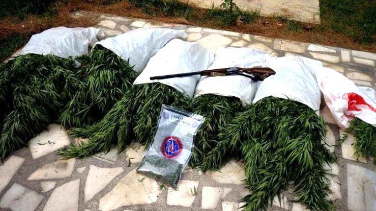 Sakarya\'da Uyuşturucu Operasyonu