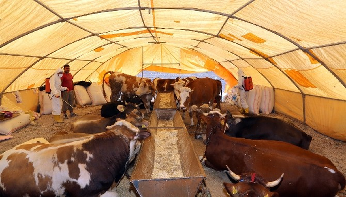 Talas\'ta Kurban Yeri Hazırlığı