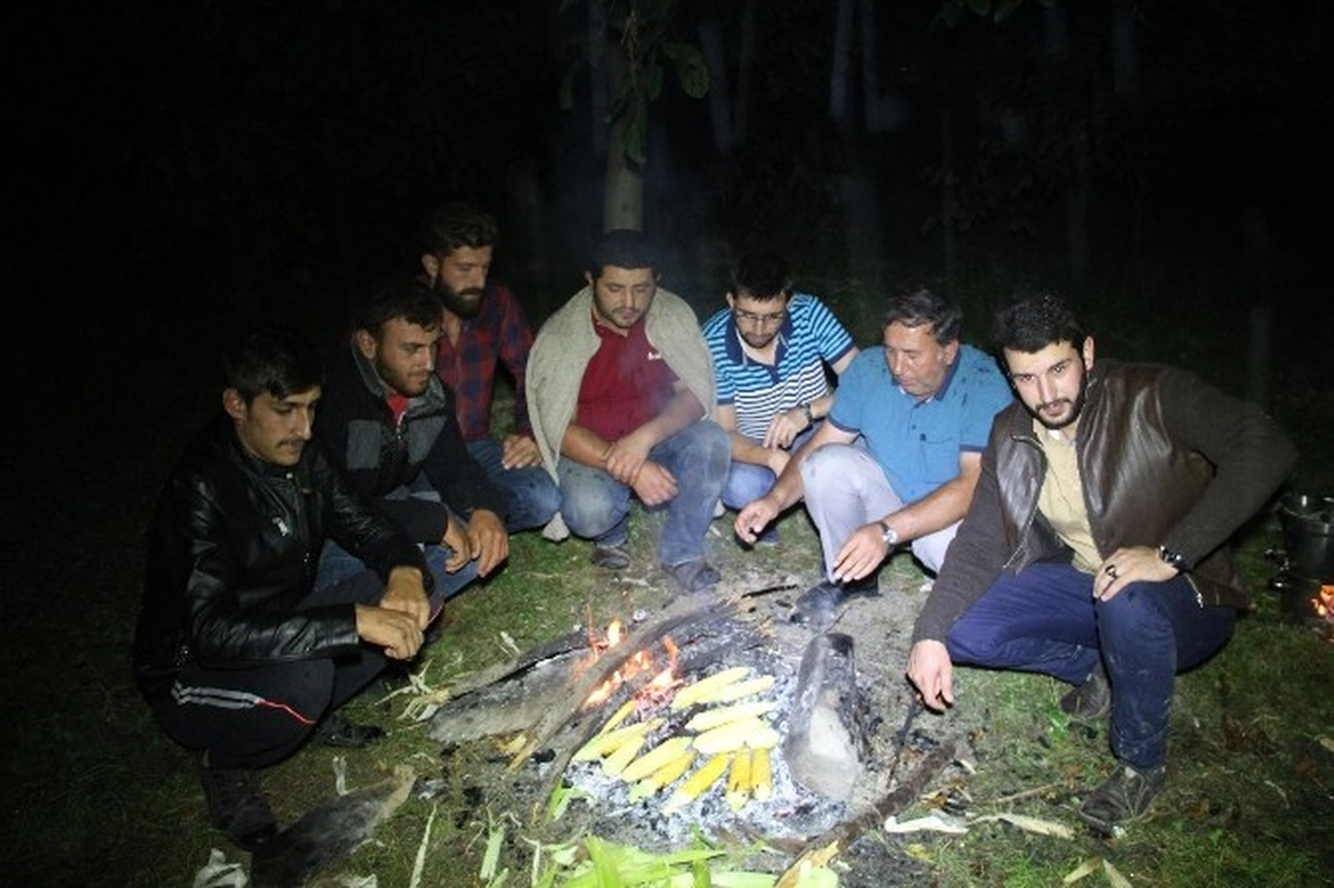 Tarım Alanlarına Zarar Veren Domuzlara Karşı Nöbet Başlattılar