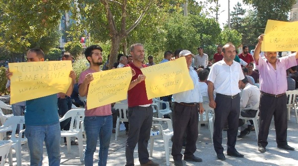 Tütün Üreticileri Tütünlerini Geri İstiyor