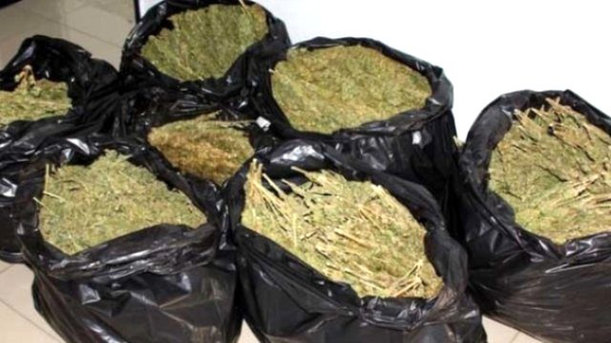 Adana\'da 1 Ton Esrar Ele Geçirildi