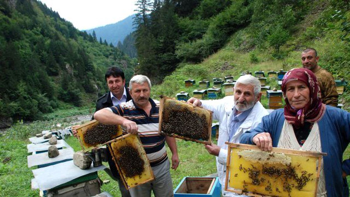 Anzer Balı Çılgınlığı! Alıcısı Bir Yıl Önceden Sıraya Giriyor