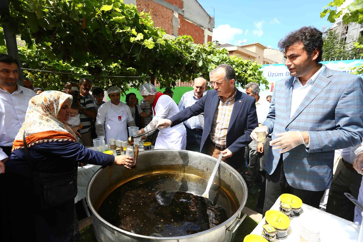 Bağcılar\'da "bağ bozumu" pikniği