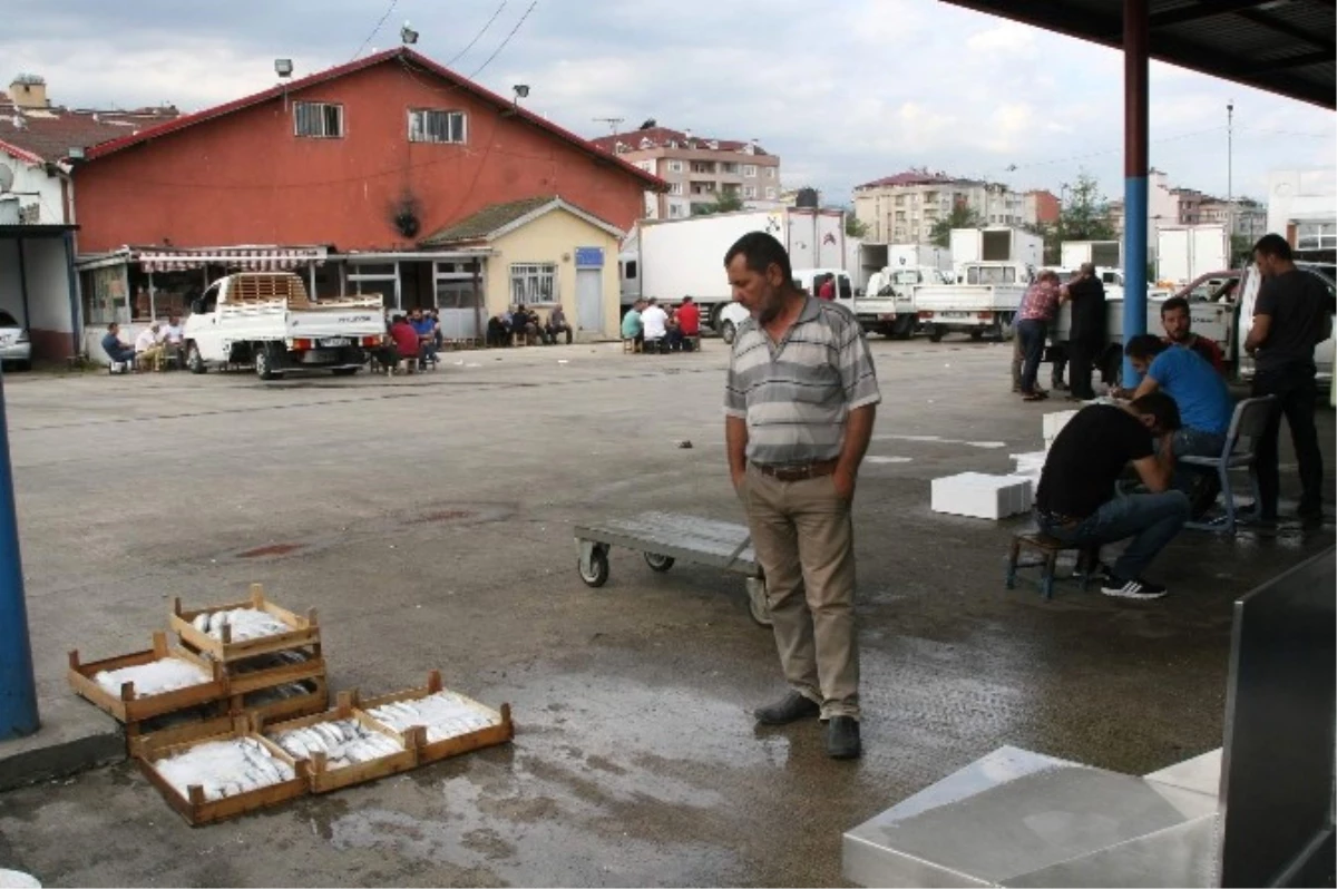 Balık Av Sezonu Açıldı Ama...