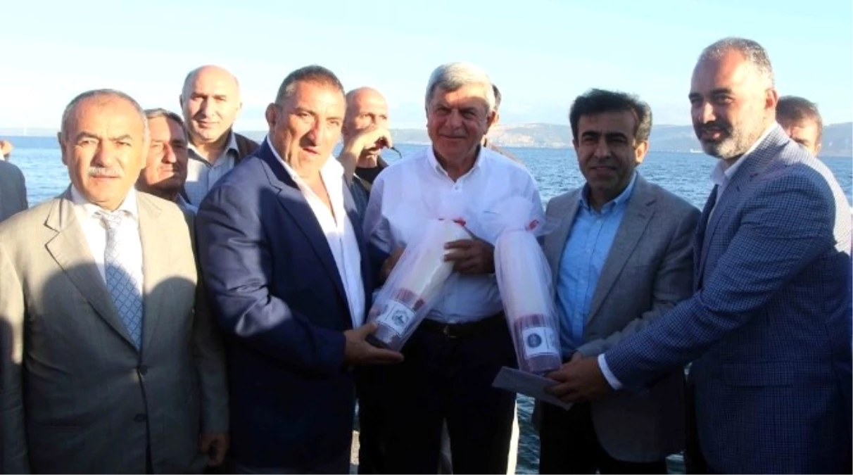 Başkan Karaosmanoğlu, Ereğli\'de Balıkçıların İlk Mezatına Eşlik Etti