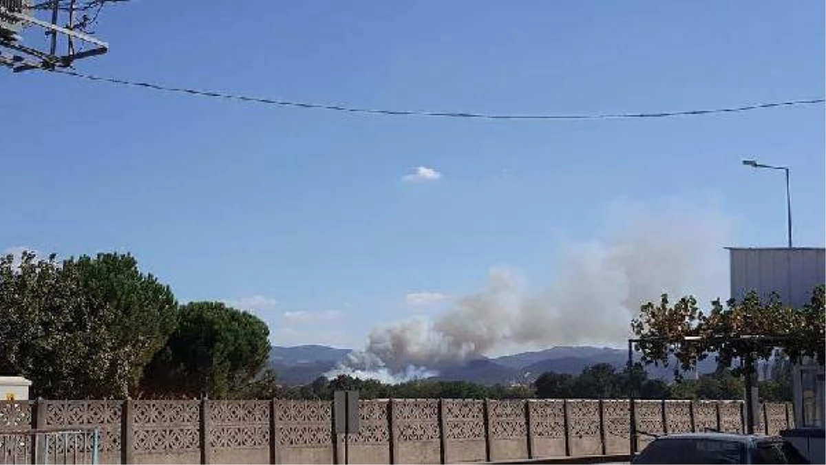Biga\'da Orman Yangını