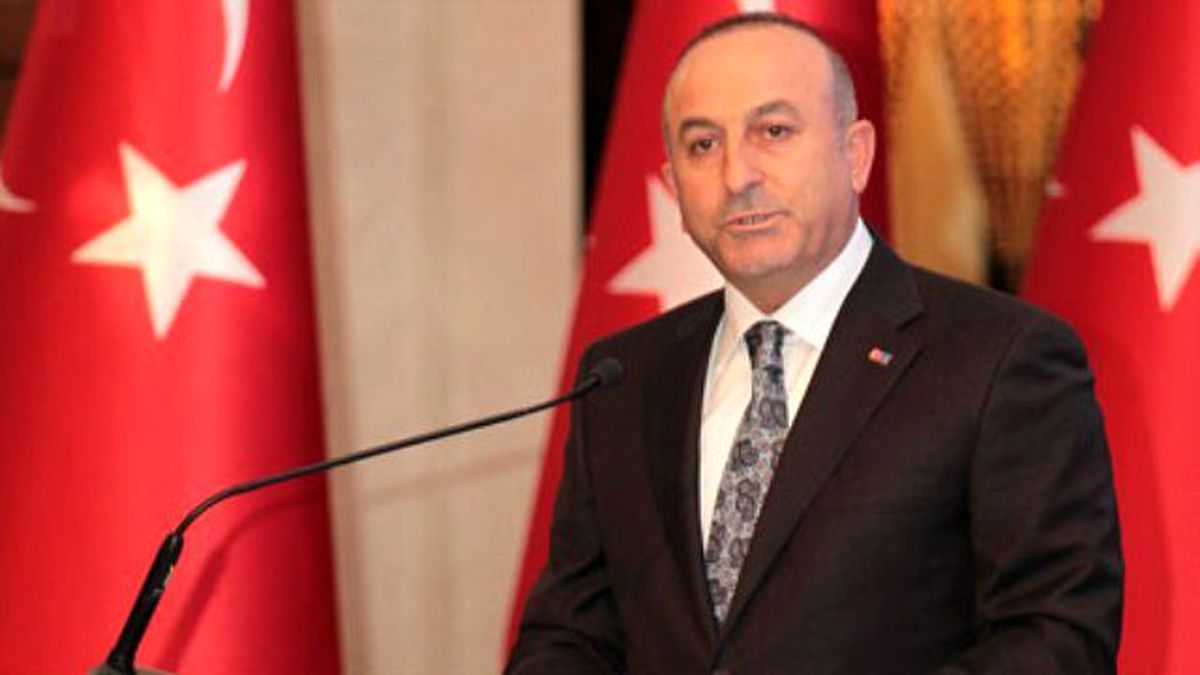 Dışişleri Bakanı Çavuşoğlu\'nun Kabulleri