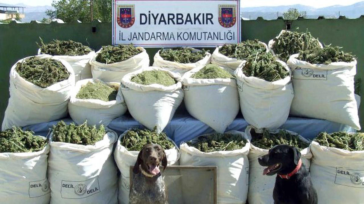 Lice ve Hani\'de Uyuşturucu Operasyonu
