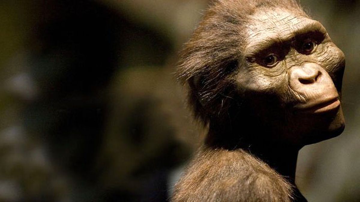 İnsanoğlunun Atası Lucy'nin Ağaçtan Düşerek Öldüğü Ortaya Çıktı