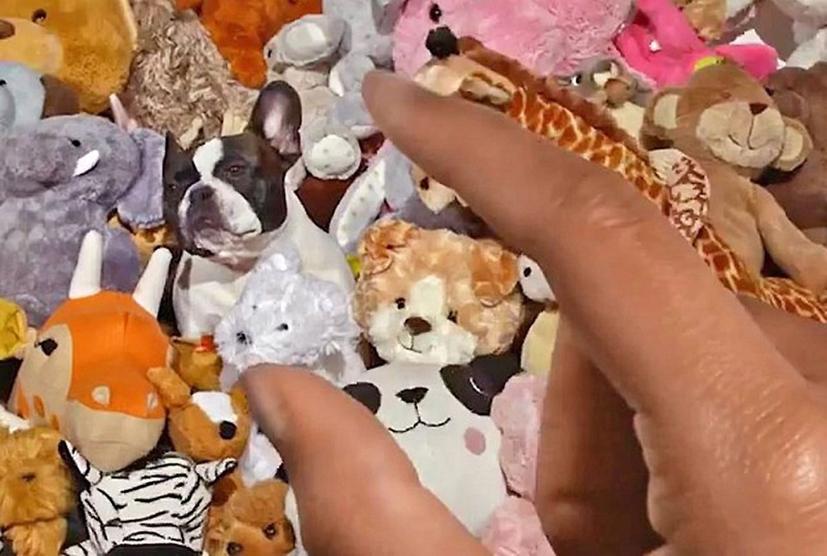 Instagram\'da "Zoom" Zamanı!