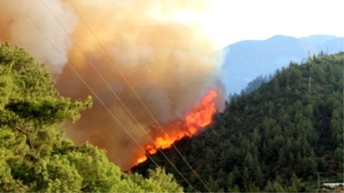 İstanbul\'da Orman Yangını