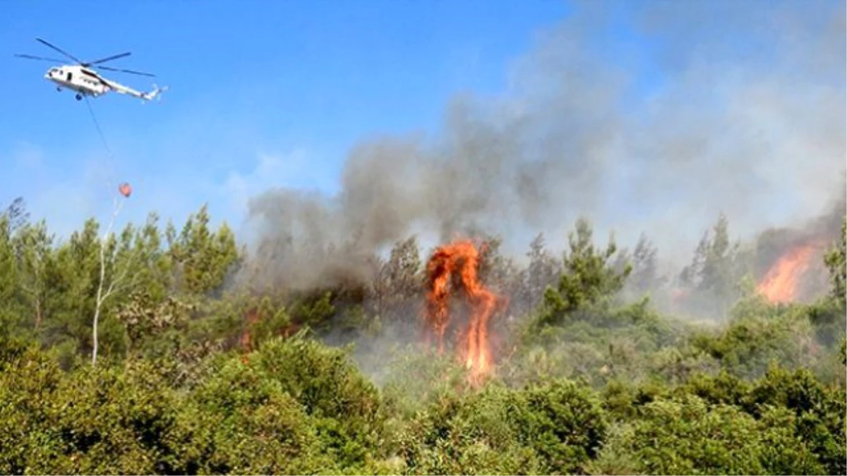 İstanbul\'daki Orman Yangını
