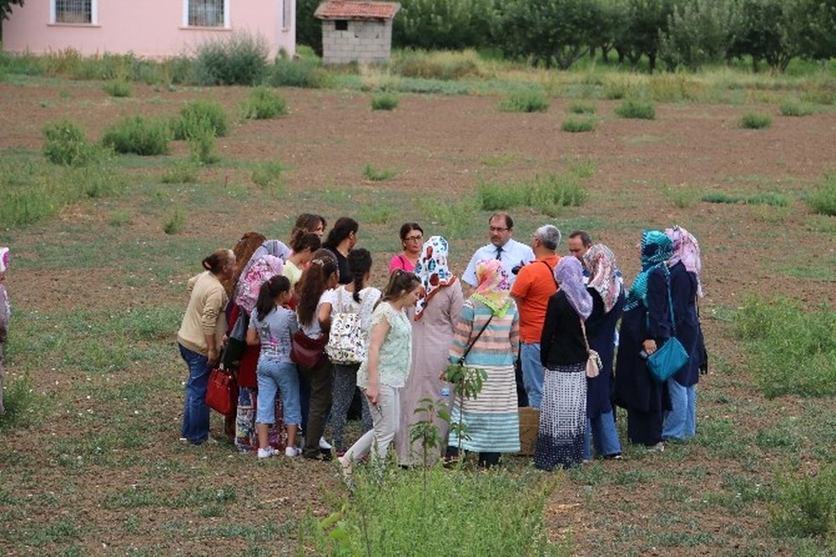 Kadın Çiftçiler Meyveciliği Öğreniyor