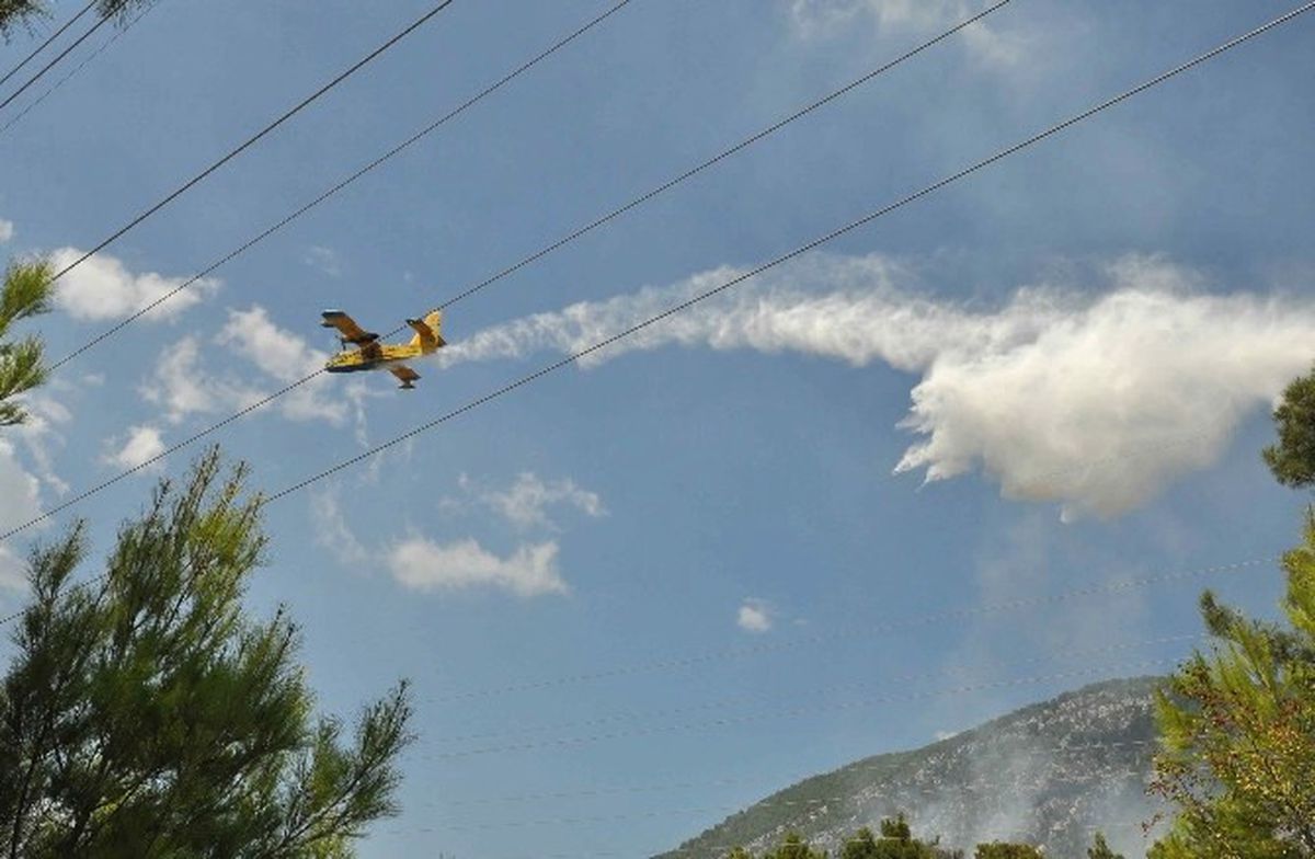 Manavgat\'ta Orman Yangınında 5 Hektar Alan Zarar Gördü