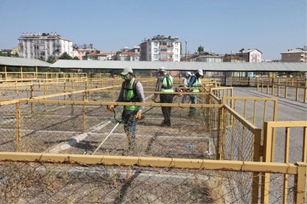 Seydişehir Belediyesi Kurban Hazırlıklarına Başladı
