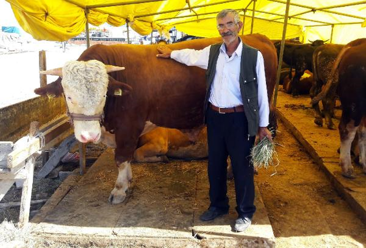 1 Tonluk 'Dadaş'ın Bakıcısı Çok, Alıcısı Yok