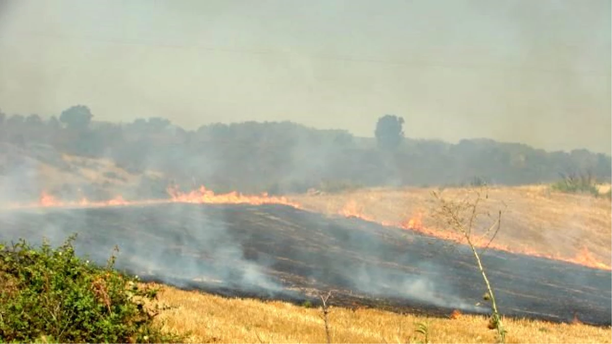 Anız Yangınları Toprağın Verimliliğini Azaltıyor