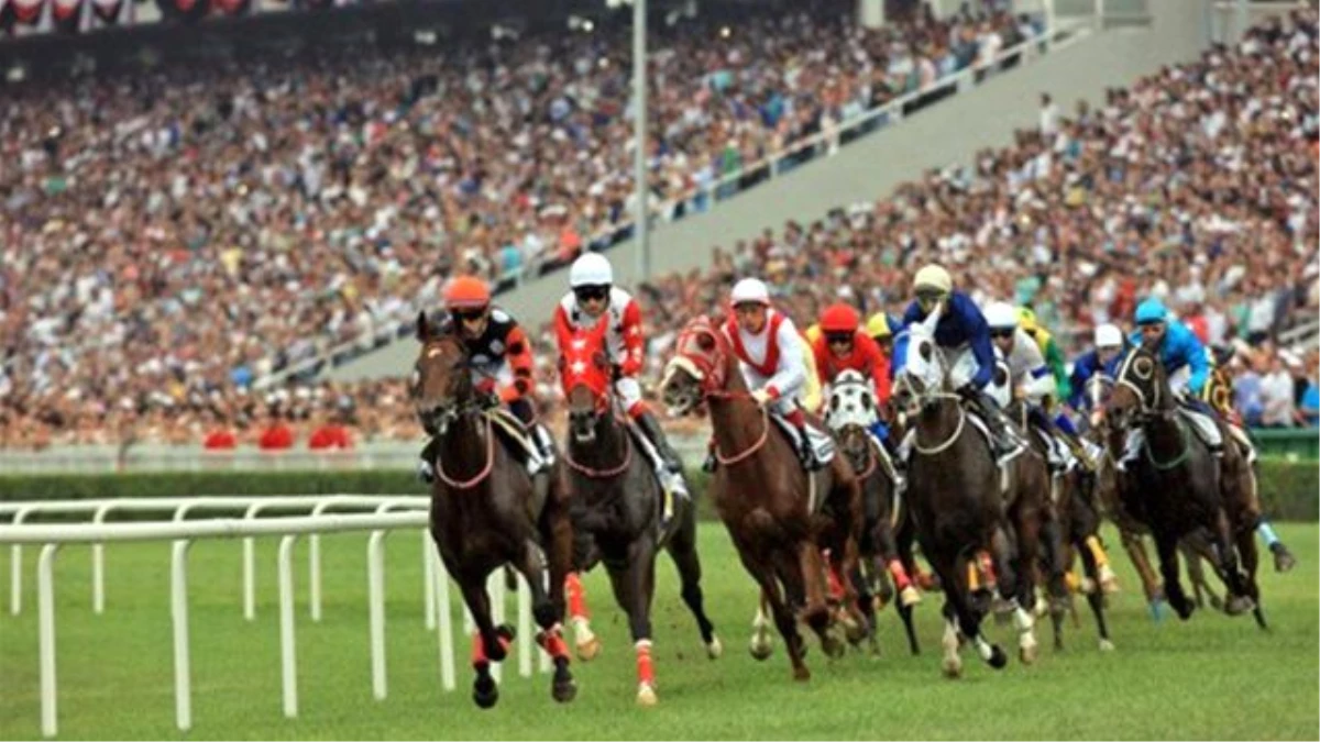 At Yarışlarında Uluslararası Heyecan