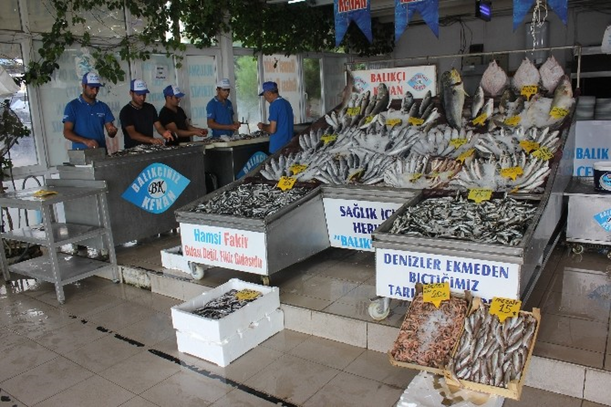 Avlanma Yasağı Kalktı, Balık Fiyatları Ucuzladı