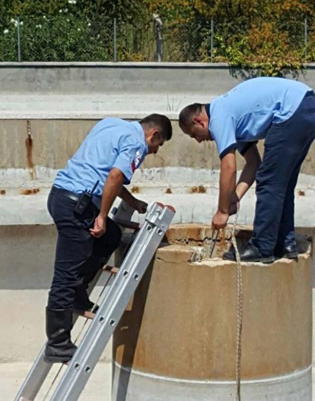 Bacada Mahsur Kalan Kediye İtfaiye Kurtardı