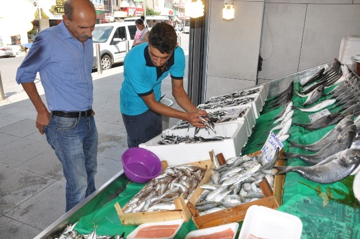 Balık Sezonunun Açılması ile Birlikte Tezgahlar Şenlendi