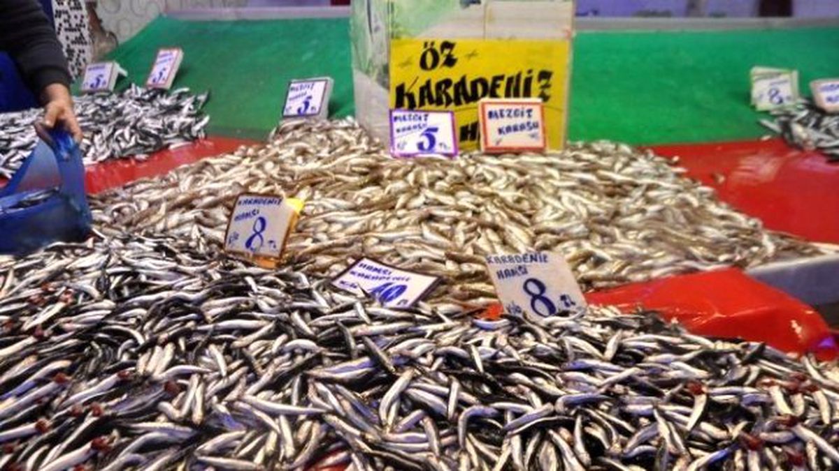 Av Sezonu Açıldı, Balıklar Tezgahları Şenlendirdi