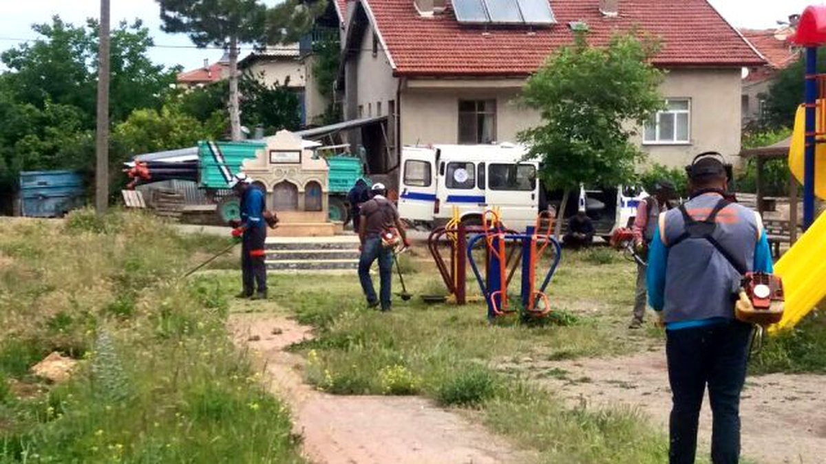 Beyşehir\'in Yeşil Alanları Yabani Otlardan Arındırılıyor