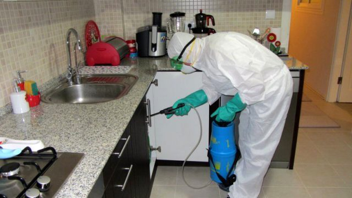 Böcekleri İlaçlamak İsterken Zehirlendi
