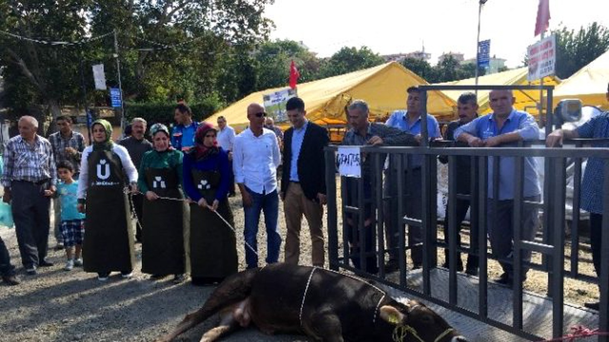Bu Yıl İstanbul Boğazı\'nda O Manzara Yaşanmayacak