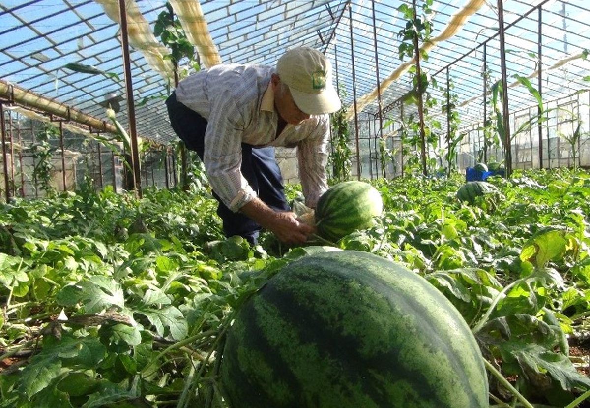 Genç Çiftçi Projesi\'nde 3. Yedek Liste Değerlendirme Sonuçları Açıklandı