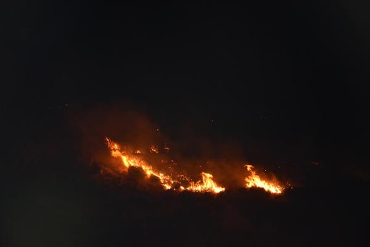 İzmir\'de Otluk ve Makilik Alanda Yangın Çıktı