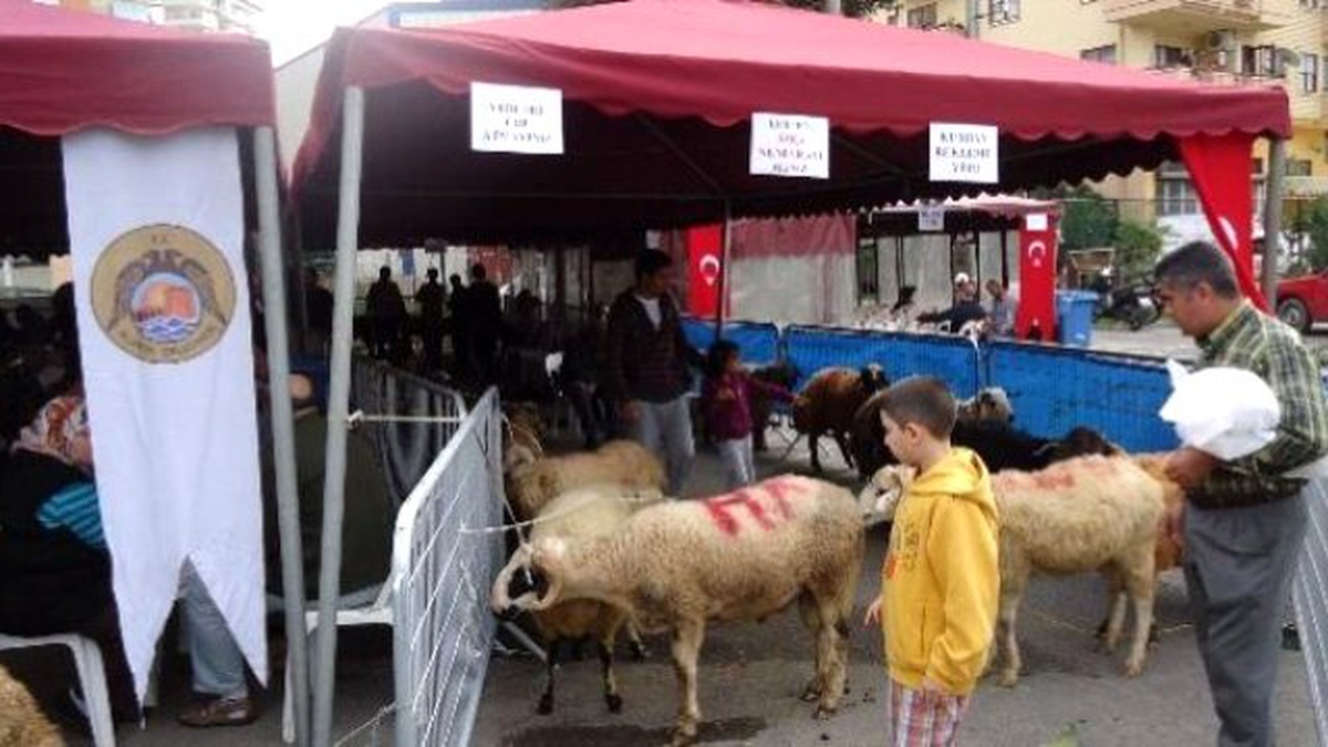 Kurban Bayramına Doğru