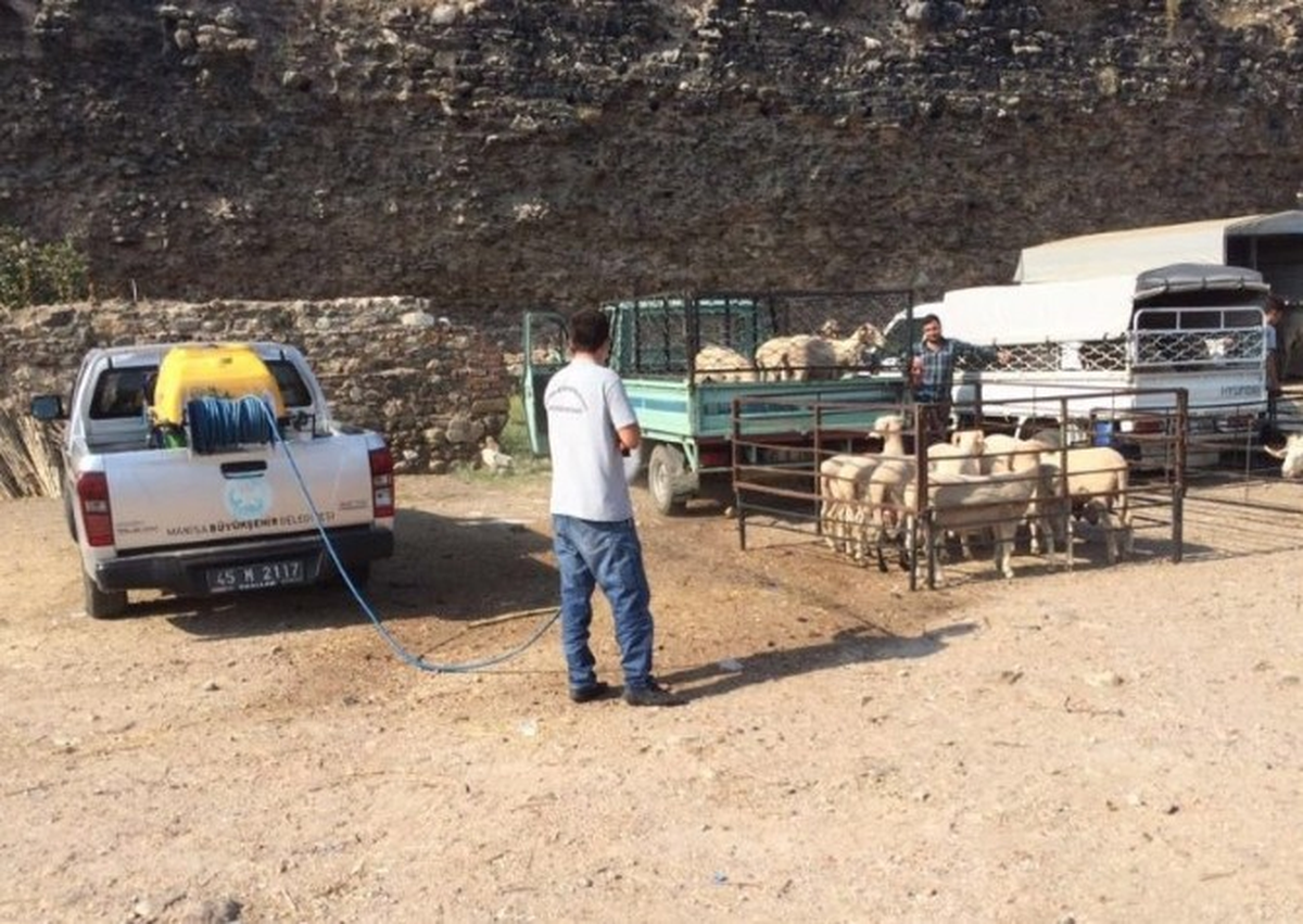 Kurban Satış ve Kesim Yerleri İlaçlanıyor