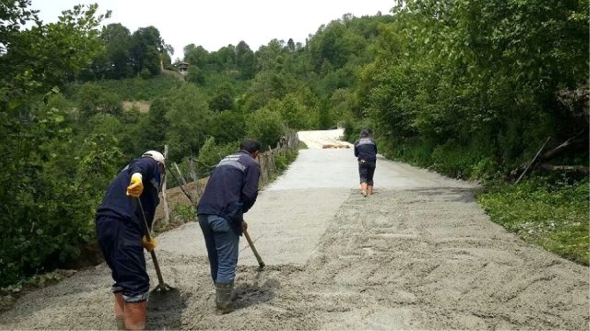 Ordu\'da Yol Çalışmaları