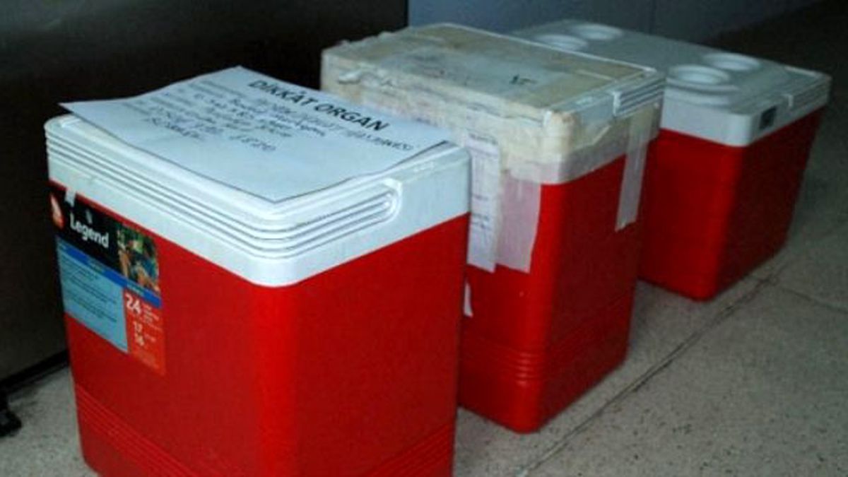 Organlarıyla Üç Kişiye Hayat Verecek
