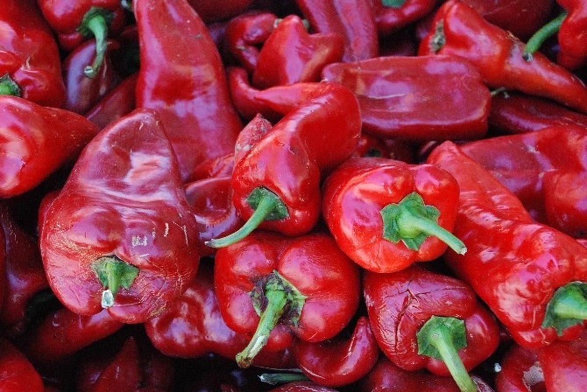 Salçalık Biber Tezgahlarda Yerini Aldı