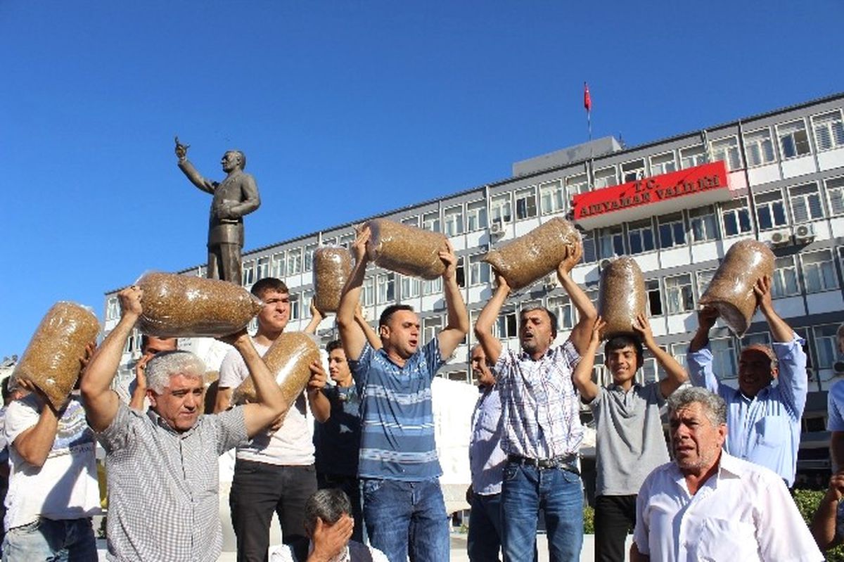 Tütün Üreticileri Yolu Trafiğe Kapattı