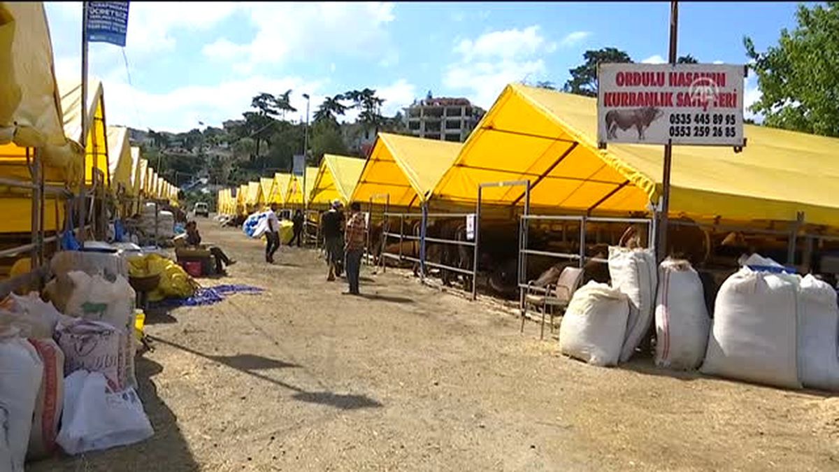 Üsküdar Belediyesi, 'Rueff' Yöntemiyle Kesim Tekniğini Kadın Kasaplara Öğretti